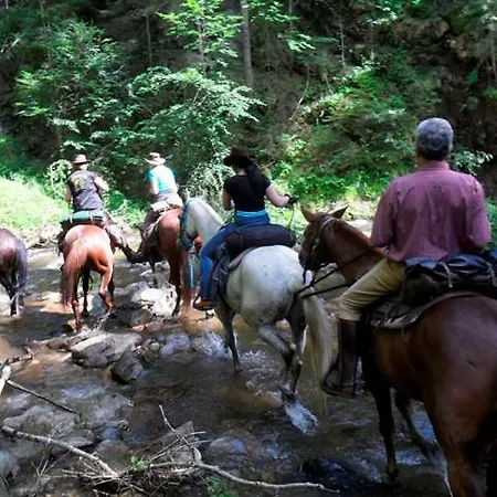 Wohlfuehlbauernhof Siebernegg Фермерский дом