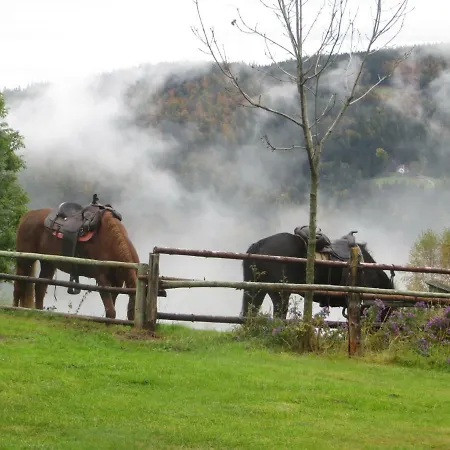 Wohlfuehlbauernhof Siebernegg Eibiswald