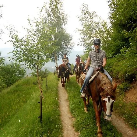 Wohlfuehlbauernhof Siebernegg