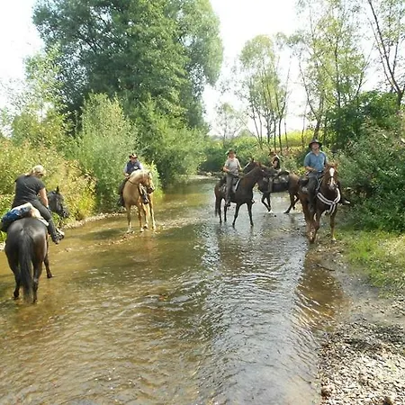 Wohlfuehlbauernhof Siebernegg *
