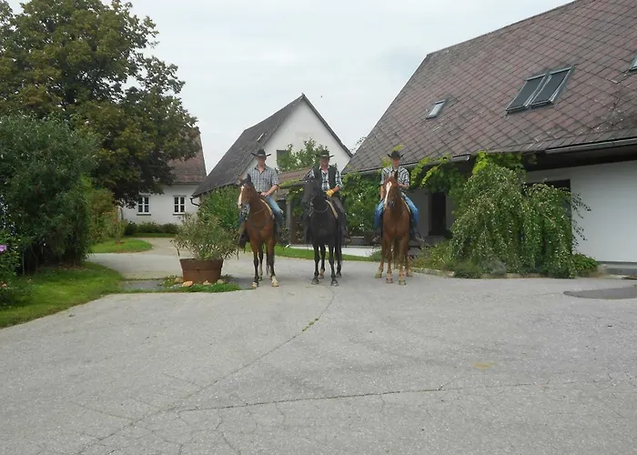 Wohlfuehlbauernhof Siebernegg Farm stay Eibiswald