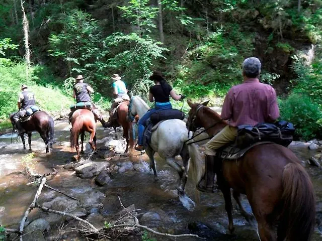 Wohlfuehlbauernhof Siebernegg Farm stay