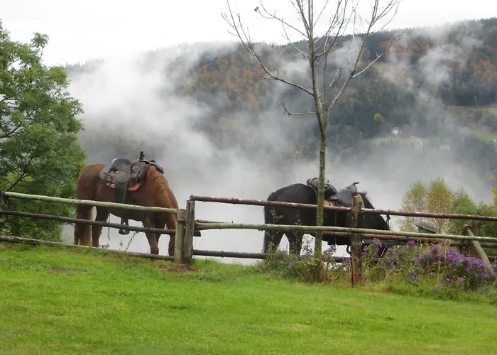 Wohlfuehlbauernhof Siebernegg Eibiswald