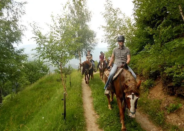 Wohlfuehlbauernhof Siebernegg